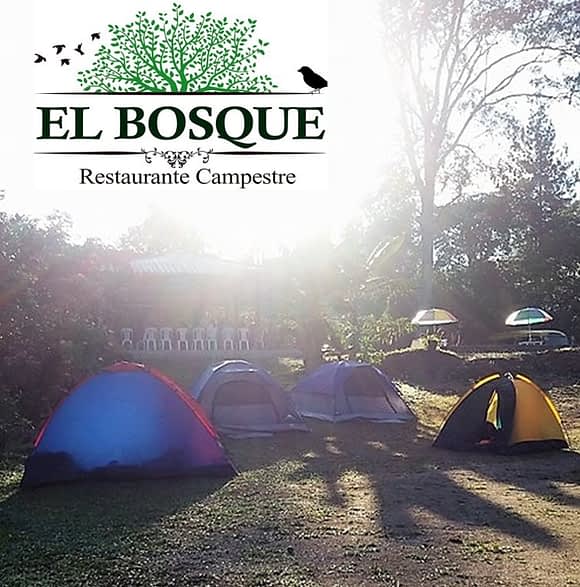 Camping en El Bosque